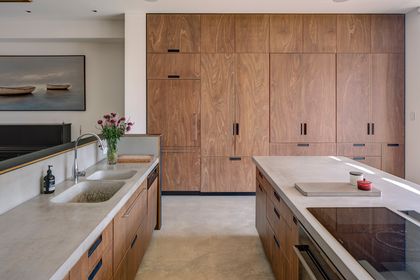 Sky House project features Big River Group plywood